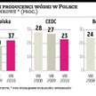 CEDC idzie w ślady Stock Polska i Belvedere