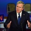 Jeb Bush
