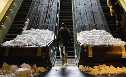 Biały pasażer na gapę… W waszyngtońskim metrze bywa i tak, szczególnie gdy w ciągu dwóch godzin spad