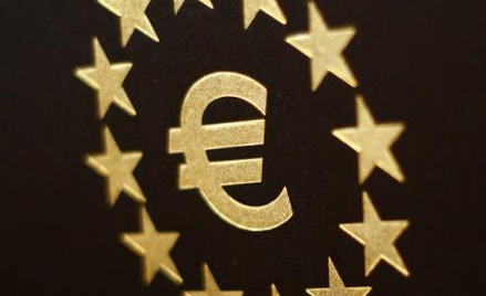 Większość Polaków nie chce szybkiego przyjęcia euro