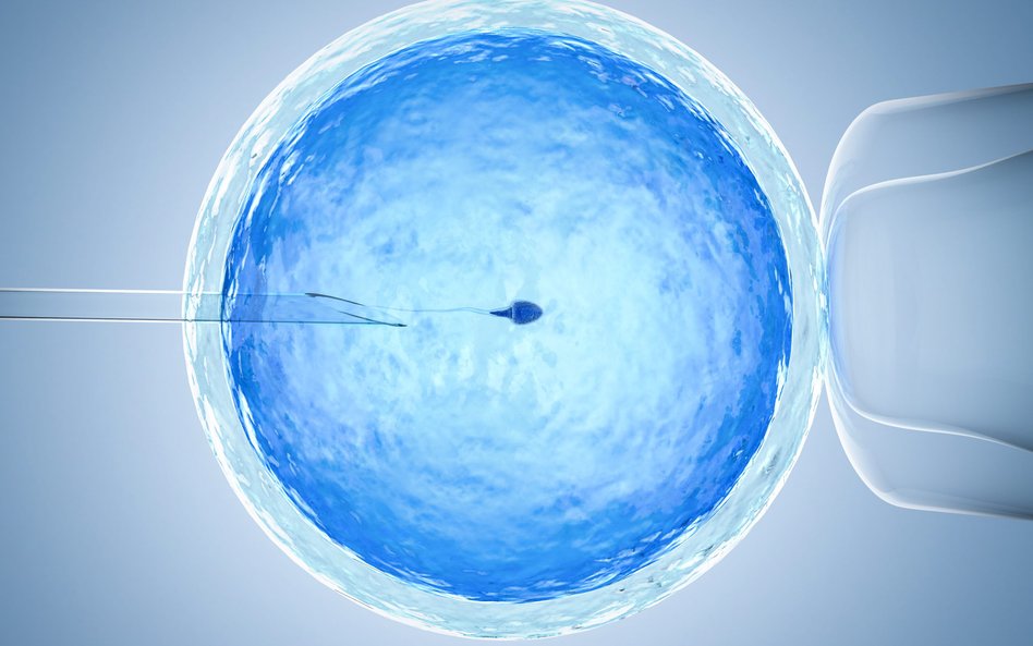 Lokalne programy in vitro wspierały pary w ostatnich ośmiu latach
