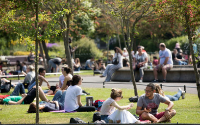 The Telegraph: Smakosze niszczą parki w Londynie