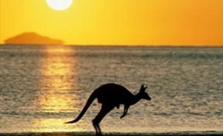 Australijski system nie bez wad