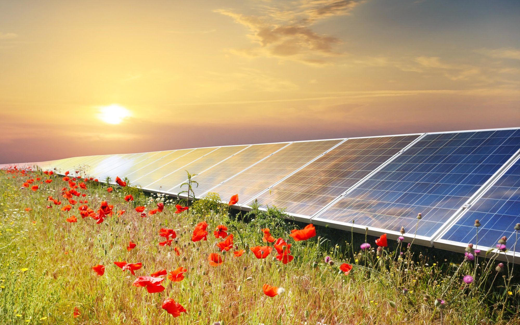 Chiński OZE wkracza na Stary Kontynent. Największy projekt hybrydowy rusza w Rumunii