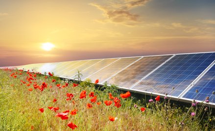 Aukcje OZE dały mniej umów na energię niżby mogły. Fotowoltaika ponownie zyskała