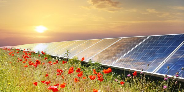 Chiński OZE wkracza na Stary Kontynent. Największy projekt hybrydowy rusza w Rumunii