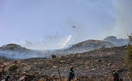 W sumie straż pożarna naliczyła w poniedziałek 52 pożary