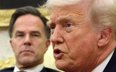 Donald Trump w czasie spotkania z Markiem Ruttem