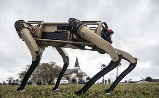 "Bezzałogowe pojazdy lądowe Ghost Robotics V60Q-UGV, które można określić jako „mechaniczne psy”. Fo