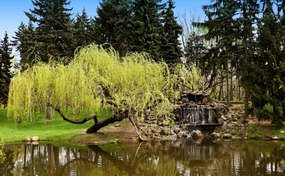 Park Skaryszewski, Warszawa
