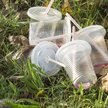 Władze Warszawy chcą zakazać plastikowych jednorazówek