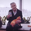 Biedroń: Są koty prezesa, są koty gorszego sortu