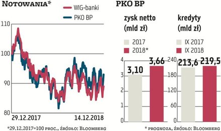 PKO BP mijający rok może zaliczyć do udanych (choć kursy banków na GPW spadły). W styczniu jego kapi