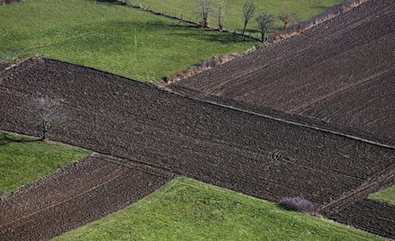 Jakie uprawnienia ma dzierżawca w gminie