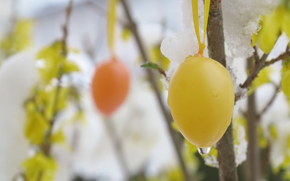 Wszystko wskazuje na to, że tegoroczna Wielkanoc będzie dość chłodna