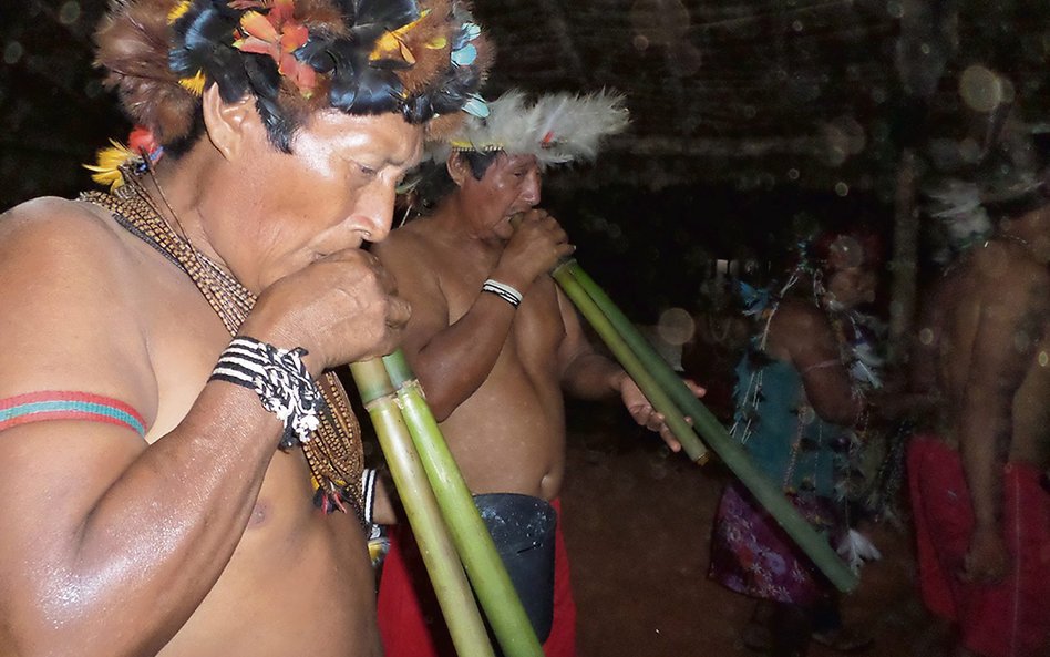 Spokojne życie Cinta Larga, ludu zamieszkującego zachodnią część lasów deszczowych Amazonii w Brazyl