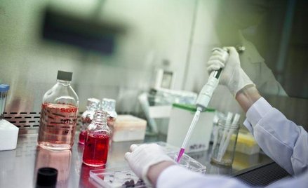 Firmy w szponach ukrytych podatków