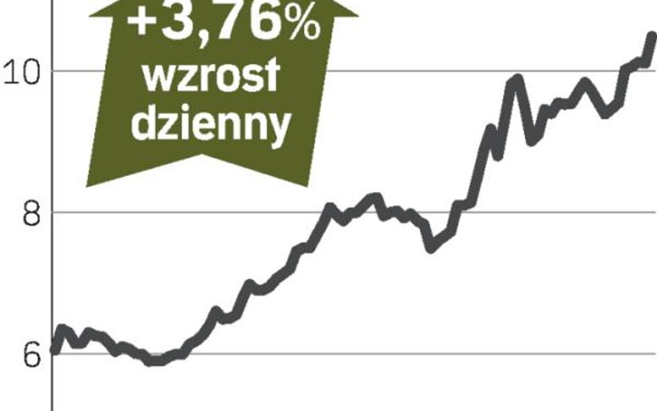 Kurs akcji w górę