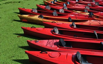 Darmowa wypożyczalnia już otwarta