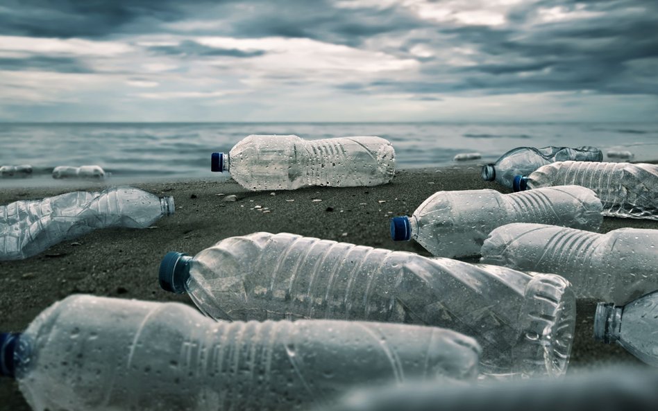 Mają pomysł na 100-proc. recykling butelek. Las był inspiracją