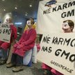 Będą kary za niezgłoszone genetyczne uprawy