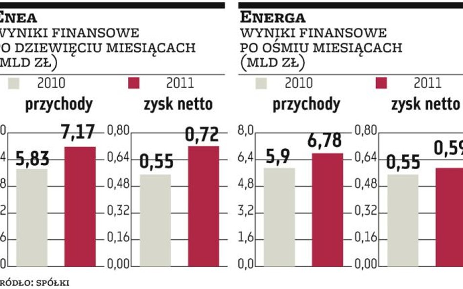 No­wy po­mysł na sprze­daż pań­stwo­wej Ener­gi