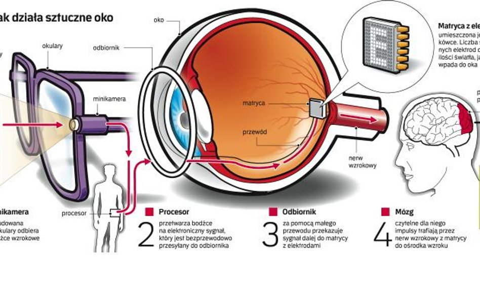 Naukowcy przywrócili wzrok