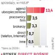 Według branży sprzedaż polis przez Internet i telefon zwiększa się o około 20 proc. rocznie. Jej udz
