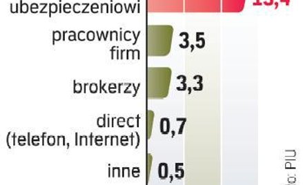 Według branży sprzedaż polis przez Internet i telefon zwiększa się o około 20 proc. rocznie. Jej udz