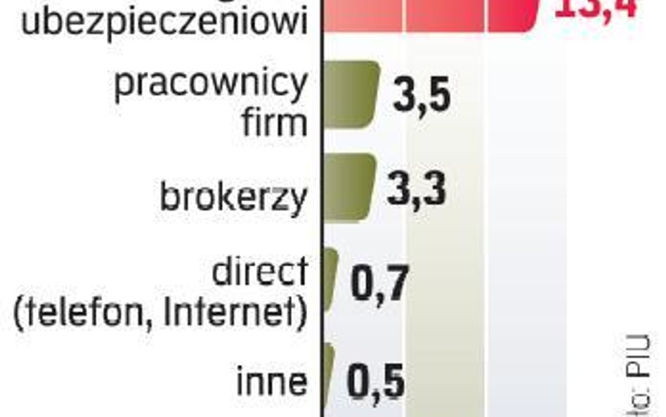 Według branży sprzedaż polis przez Internet i telefon zwiększa się o około 20 proc. rocznie. Jej udz