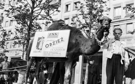 Warszawa. Fot. Bolesław Miedza Reklama była dźwignią handlu także w latach 50. Sklep, który tak pomy