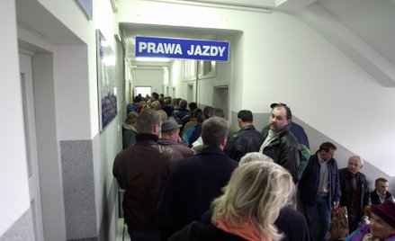Tłumy w urzędzie