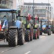 Rolnicy zapowiadają blokadę przejścia granicznego na autostradzie A2