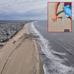 11-letni Bo podczas spaceru po plaży w New Jersey znalazł skamieniały ząb megalodona