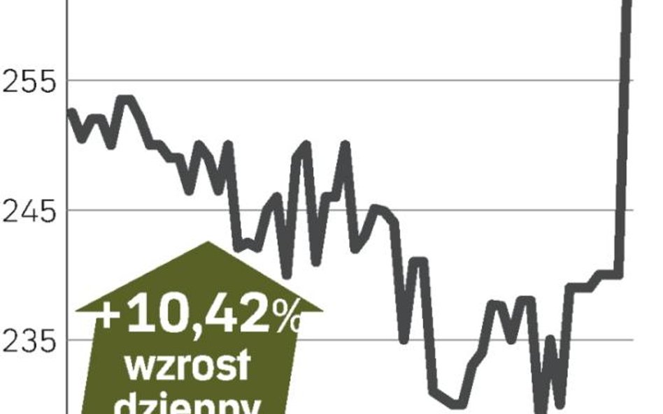 Słodkie wyniki pomogły kursowi