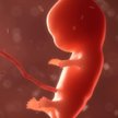 Zgoda ojca na aborcję?