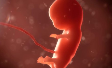 Zgoda ojca na aborcję?