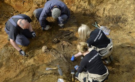 Odwołanie ekshumacji w Treblince: Przetrącony kark prokuratury