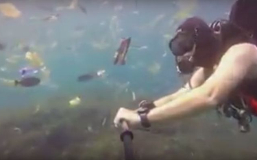 Płetwonurek pływał w śmieciach u wybrzeża Bali
