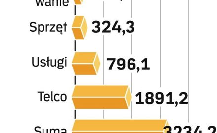 Oprogramowanie nie odczuje spadku wydatków na IT. Zmniejszy się popyt na sprzęt, usługi i IT w telek
