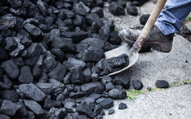 PGG zapewnia, że nie chce zawłaszczyć rynku sprzedaży węgla