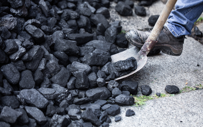 PGG zapewnia, że nie chce zawłaszczyć rynku sprzedaży węgla