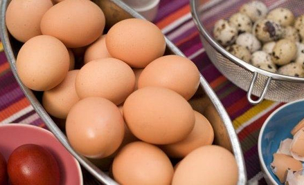 Od czego zależy skład jaj? Naukowcy: Nie od chowu