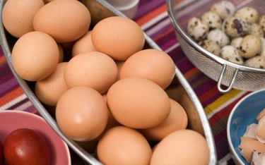 GIS: w Polsce wykryto jajka potencjalnie zanieczyszczone fipronilem