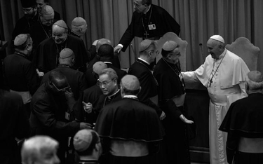 Zdaniem kardynała Kaspera na zwołanym przez papieża Franciszka nadzwyczajnym synodzie biskupów poświ