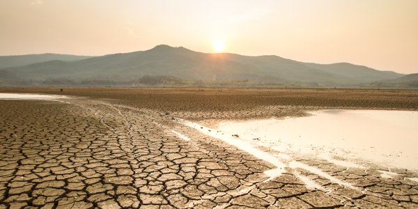 Europe's summer of extremes: droughts, wildfires and billion-euro losses