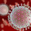 Epidemia wirusa Zika zaczęła się znacznie wcześniej niż sądzono