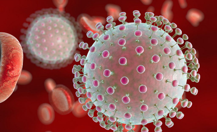 Epidemia wirusa Zika zaczęła się znacznie wcześniej niż sądzono