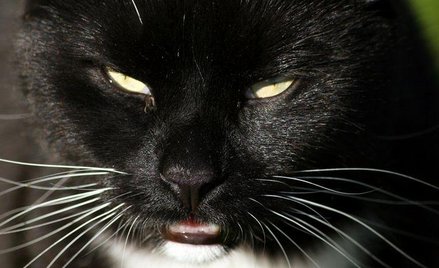 fot. Natalia Balcerska Photography