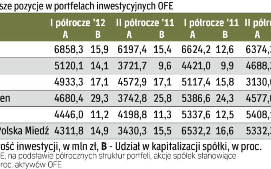 Spółki, których akcji OFE mają najwięcej